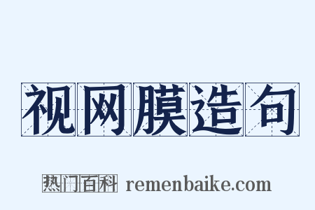 视网膜造句是什么意思的图片